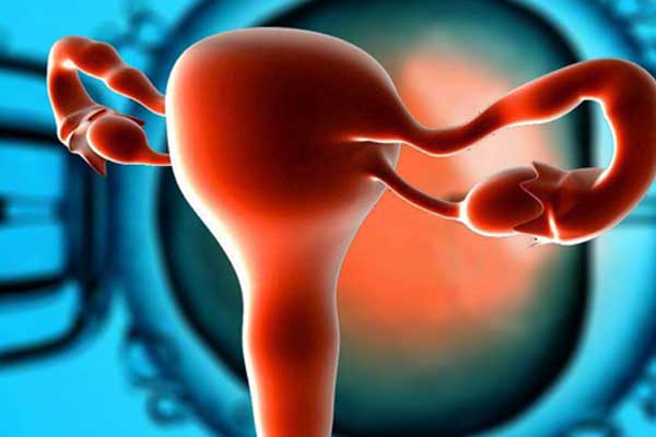 月经少卵巢早衰如何调养
