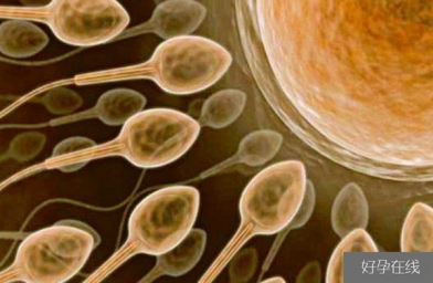 陕西备孕试管婴儿知识_超级精子是什么，精子活力太高也会造成不育？