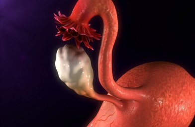 陕西干细胞治疗卵巢早衰，患者顺利分娩健康宝宝