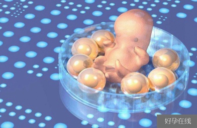 你所不知道的试管婴儿胚胎等级？
